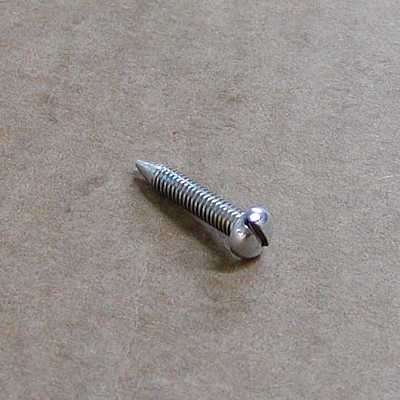 Screw Screw